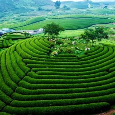 Top 5 Địa Điểm Lưu Trú Không Nên Bỏ Qua Khi Đến Du Lịch Mộc Châu