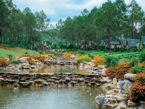 Chia Sẻ Thực Tế Khi Đặt Tour Du Lịch Mộc Châu 3 Ngày 2 Đêm