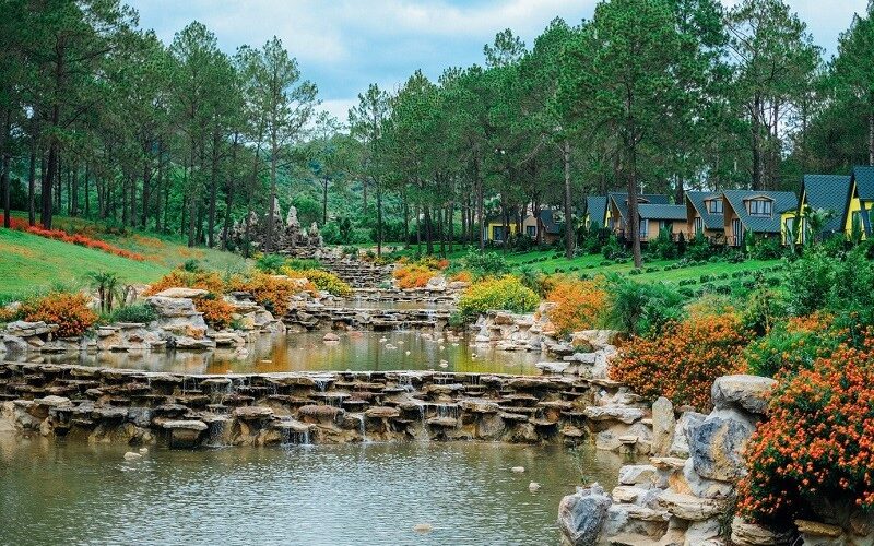 Chia Sẻ Thực Tế Khi Đặt Tour Du Lịch Mộc Châu 3 Ngày 2 Đêm