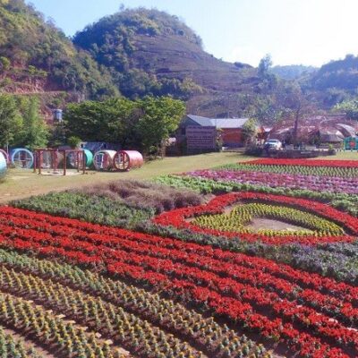 Một Số Điểm Lưu Trú Phù Hợp Khi Đi Du Lịch Mộc Châu 3 Ngày 2 Đêm