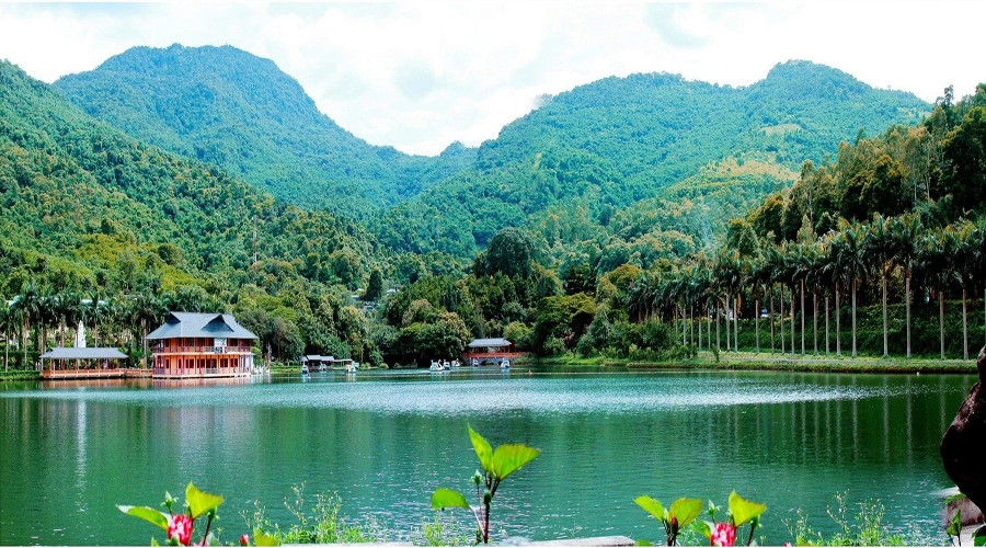 Thời Điểm Lý Tưởng Để Đi Du Lịch Ao Vua