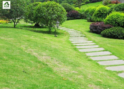 Dịch vụ trồng cỏ sân vườn tại quận 12 uy tín