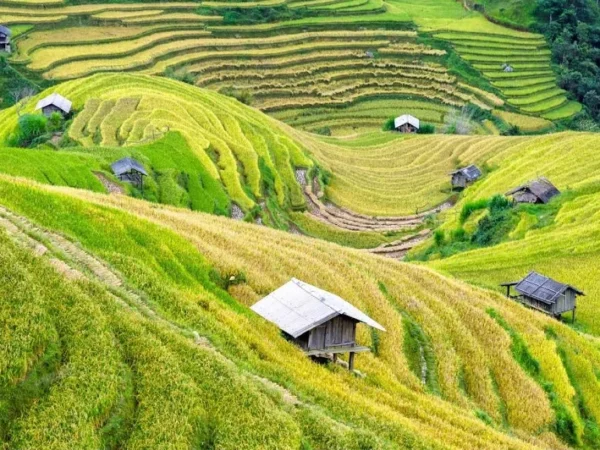 Những Kinh Nghiệm Cần Biết Khi Du Lịch Mai Châu 3 Ngày 2 Đêm