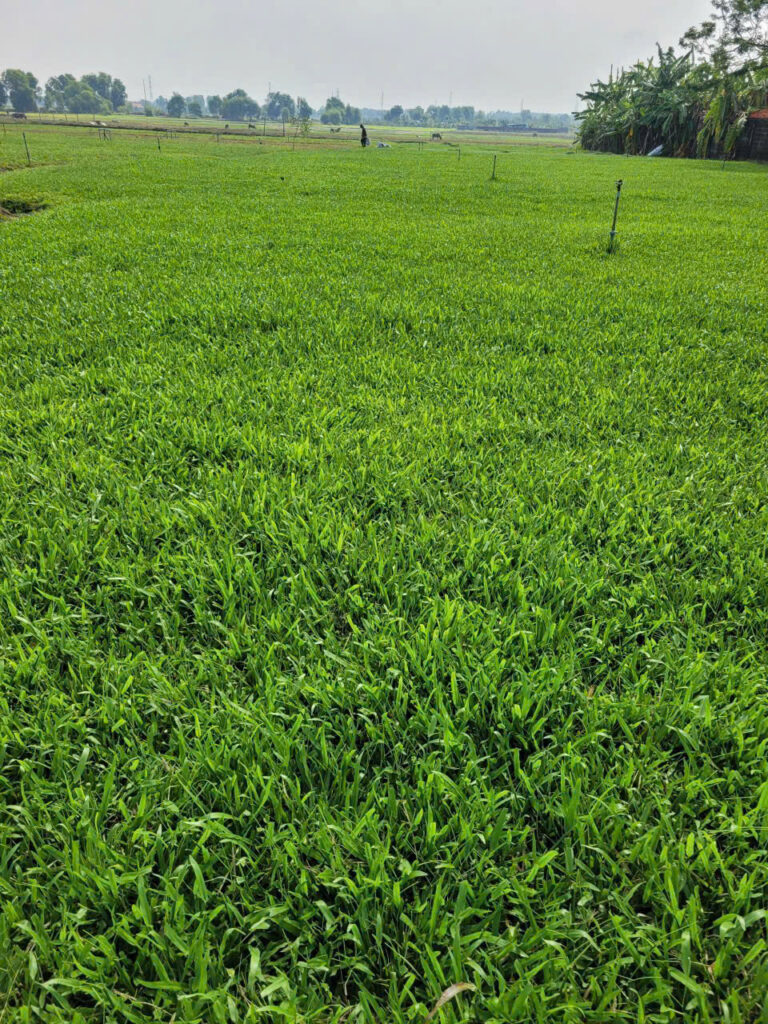 Z7176194588754 67798466d6c73d31d7aabf2863c26db6