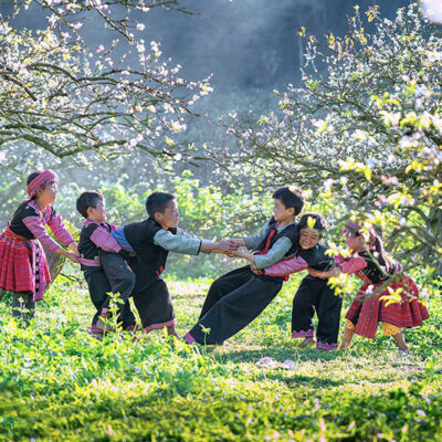 Những Trải Nghiệm Thú Vị Khó Bỏ Qua Khi Đi Du Lịch Mộc Châu