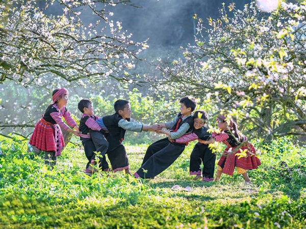 Những Trải Nghiệm Thú Vị Khó Bỏ Qua Khi Đi Du Lịch Mộc Châu