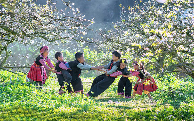 Những Trải Nghiệm Thú Vị Khó Bỏ Qua Khi Đi Du Lịch Mộc Châu