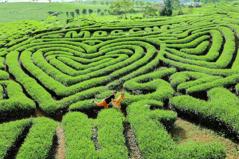 Phong cảnh mộc châu