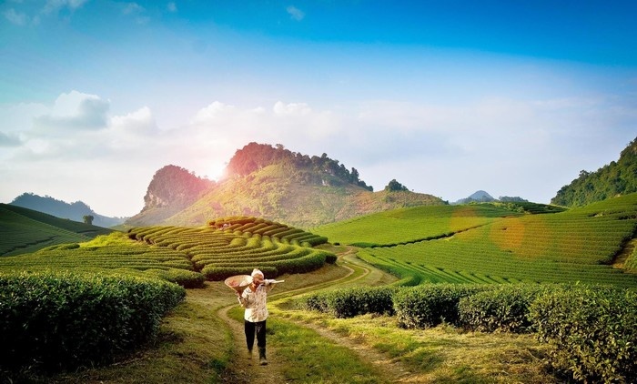 Tất Tần Tật Kinh Nghiệm Du Lịch Trải Nghiệm Mộc Châu 2 Ngày 1 Đêm