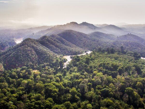Những Lưu Ý Quan Trọng Khi Du Lịch Nam Cát Tiên 1 Ngày