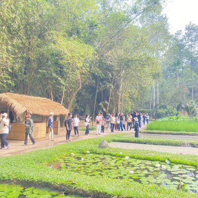 Top Các Địa Điểm Tổ Chức Gala Lunch Lý Tưởng Khi Đi Tour Củ Chi 1 Ngày