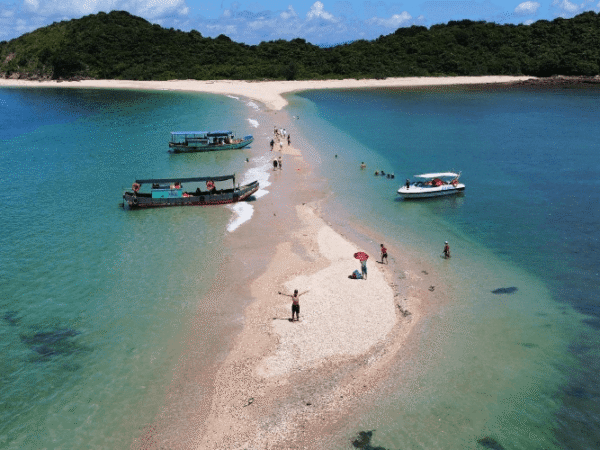 Những Điều Cần Biết Khi Thuê Xe Điện Tham Quan Đảo Cô Tô